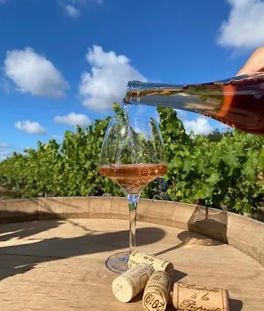 Entre Angers Et Saumur - Maison Mima Le Champ-sur-Layon