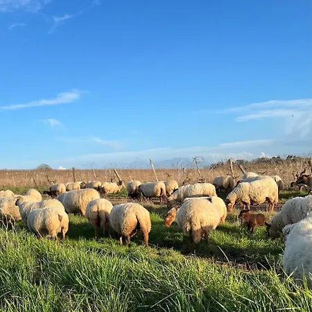 Entre Angers Et Saumur - Maison Mima * Le Champ-sur-Layon