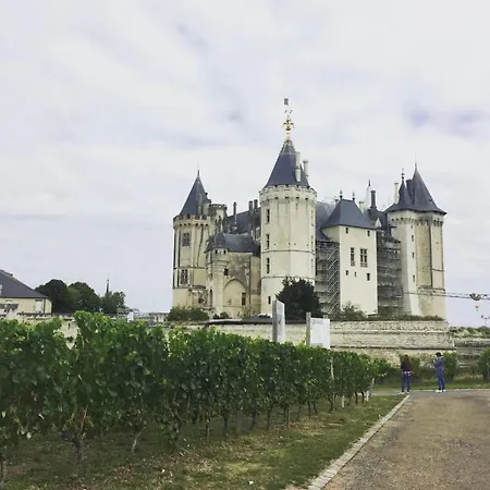 펜션 Entre Angers Et Saumur - Maison Mima *