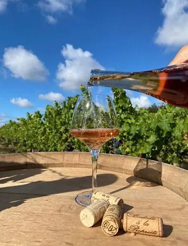 Entre Angers Et Saumur - Maison Mima Le Champ-sur-Layon